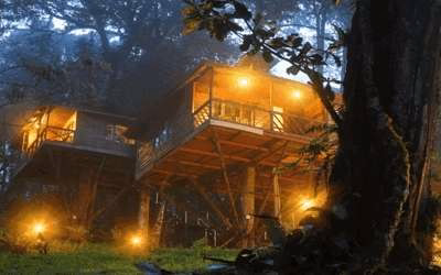 10-day Kerala tours - Munnar Nature Zone Resort - Tree House - one of the special stay opportunity.