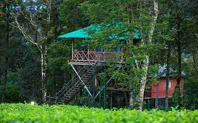 9-day Kerala tours - A charming treehouse in Thekkady, nestled high in the trees, offering stunning views of the surrounding lush forest and wildlife-rich landscape.