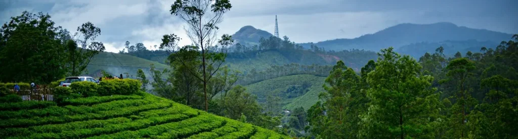 Munnar hills