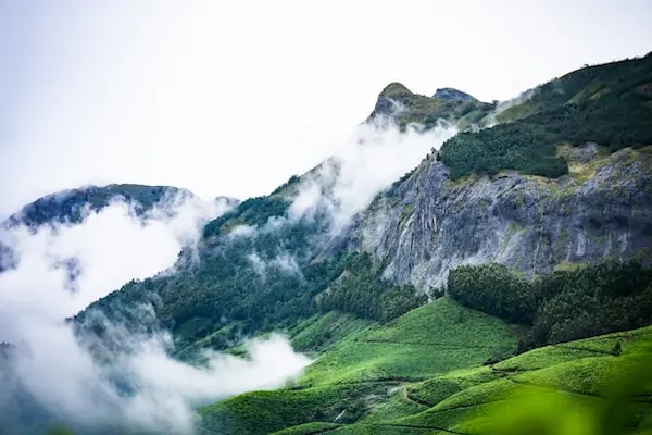Munnar hill station with tea plantations and mist – part of 3-day Kochi to Munnar Kerala tours by Vinu Holidays.