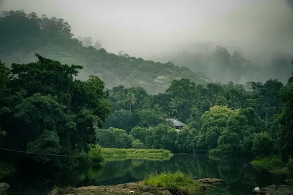 5 day kochi to munnar thekkady alleppey kerala tour by vinu holidays