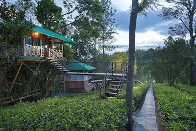 3-day Kerala tour with a stay at Dream Catcher Resort in Munnar.