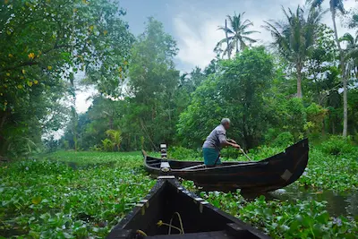 Alleppey backwaters view with traditional houseboats, a highlight of Kerala tours by Vinu Holidays.