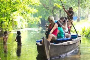 Narrow canals of the Alleppey backwaters with coconut palms during a 5-day Kerala tour package, Kerala, India