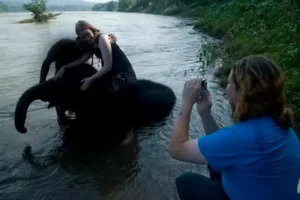 Tourists enjoying Kodanad Elephant Kraal during their 6-day kerala tour packages