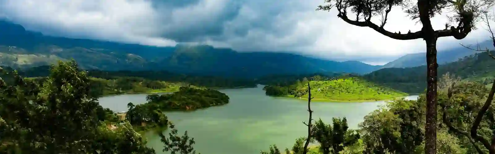 munnar scenic view kerala tours vinu holidays 1 A scenic view from Munnar hill station that includes in Kerala tours by Vinu Holidays.