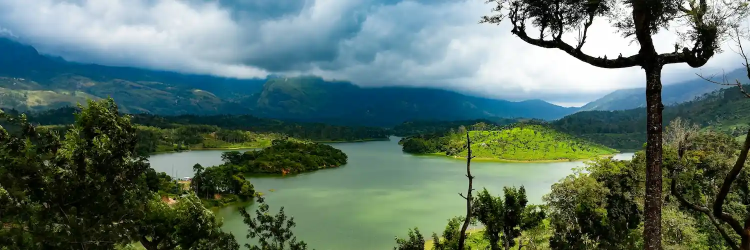 Scenic panoramic view of the Munnar hills with lush green tea plantations, ideal for Kerala tours, Kerala, India.