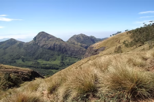 Meesapulimala Jeep Safari and trekking, Munnar