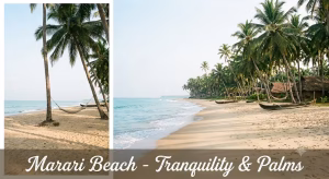 Marari beach for traquility & palms