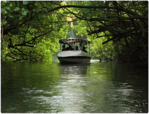 Poovar Island Trivandrum